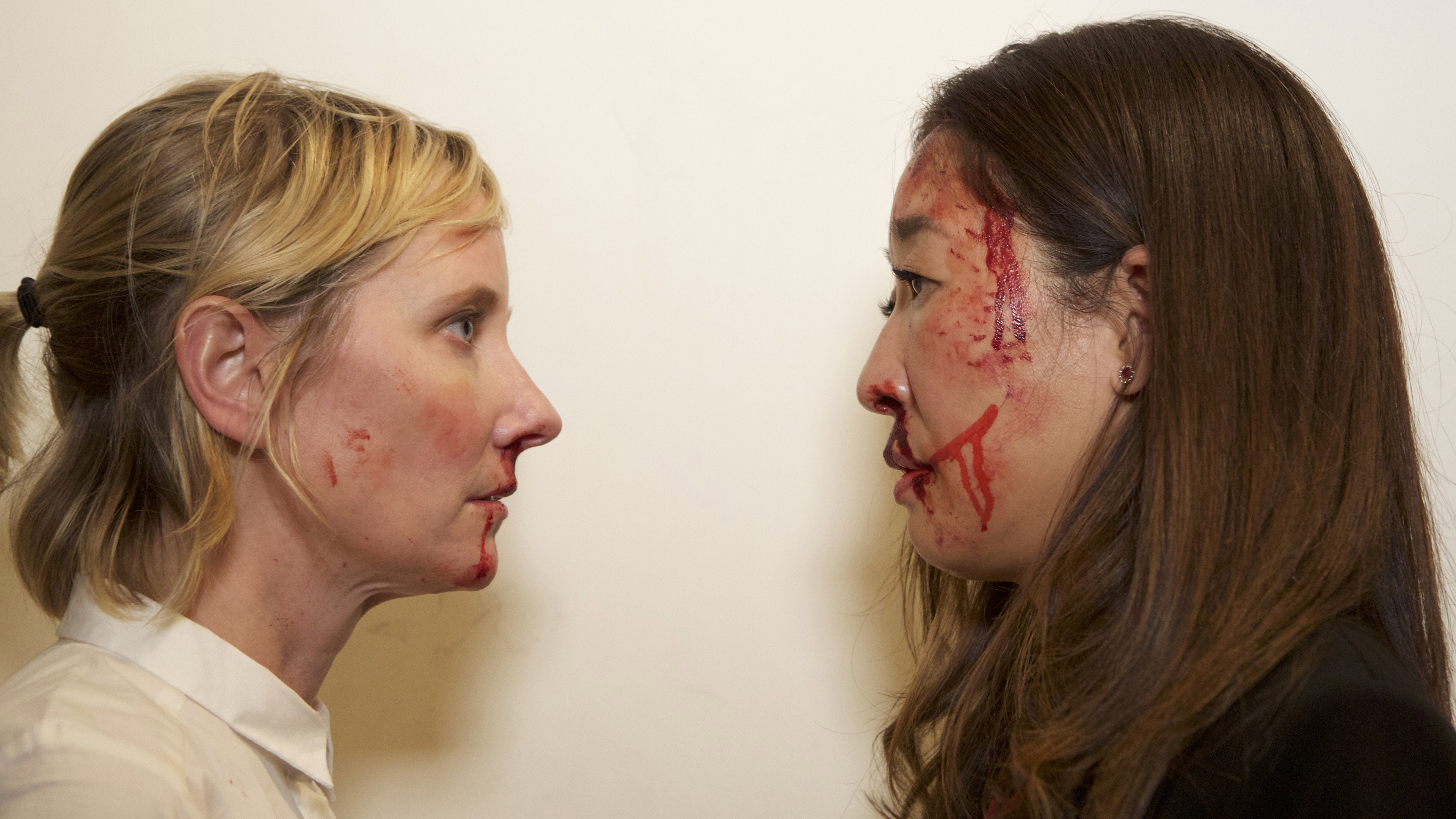 Catfight's poster
