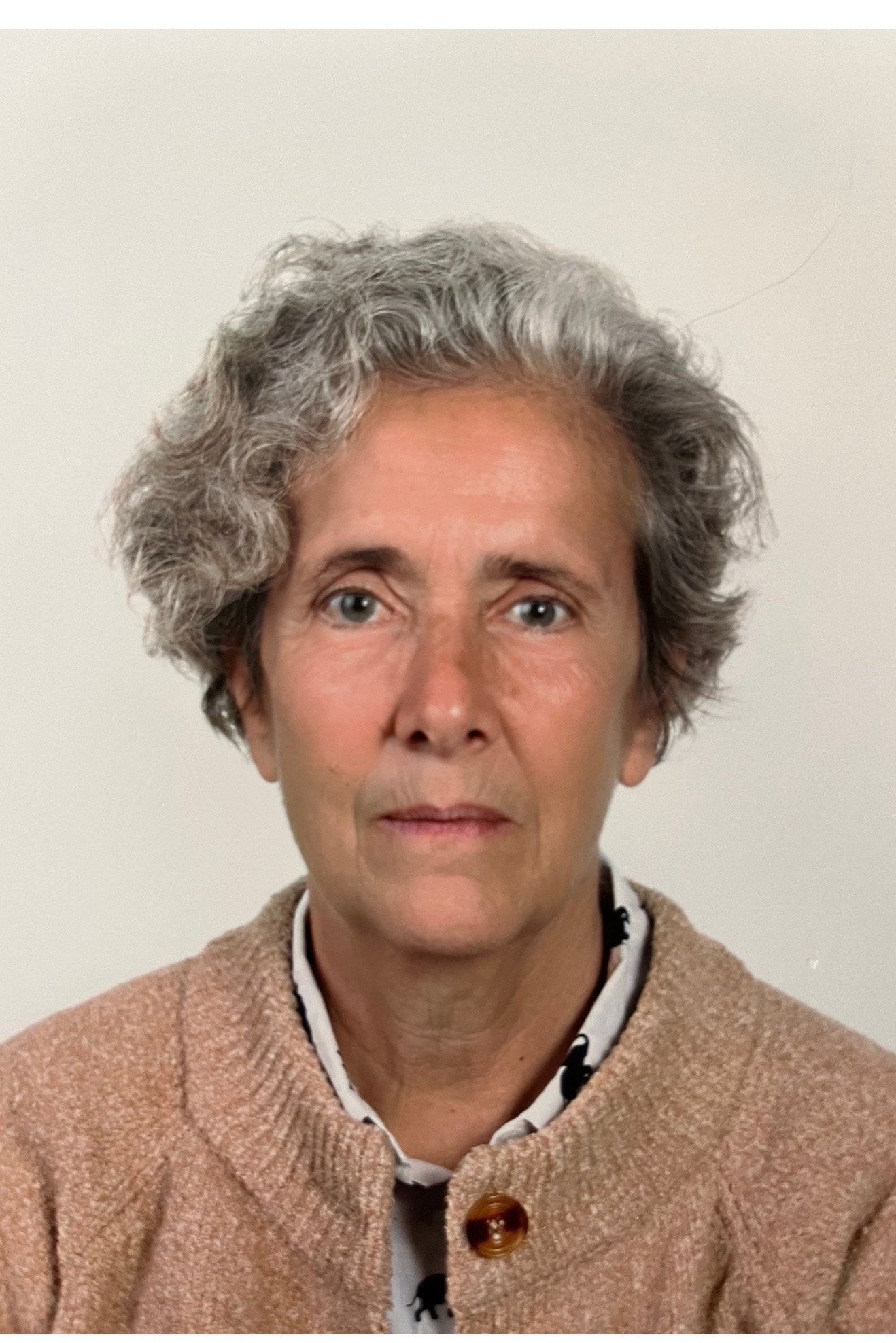 Susana Protásio's poster
