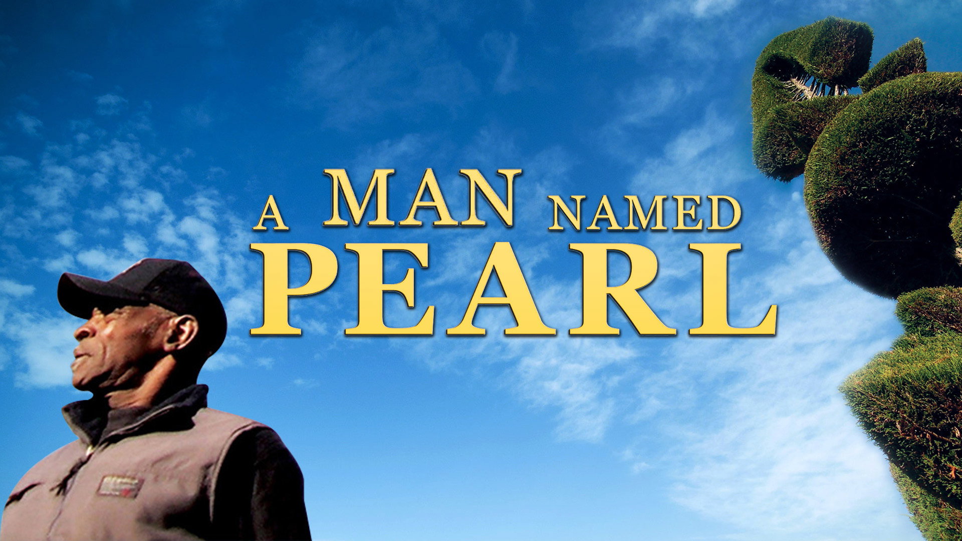 A Man Named Pearl's poster