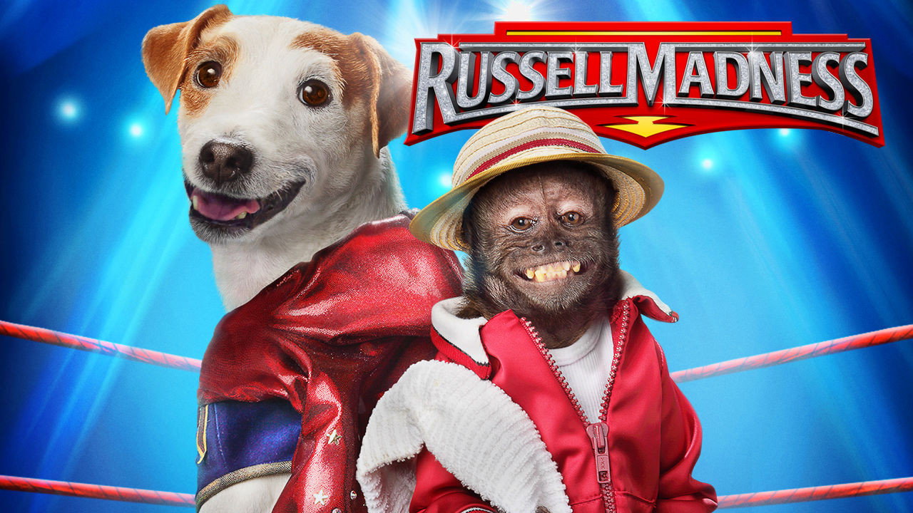 Russell Madness's poster