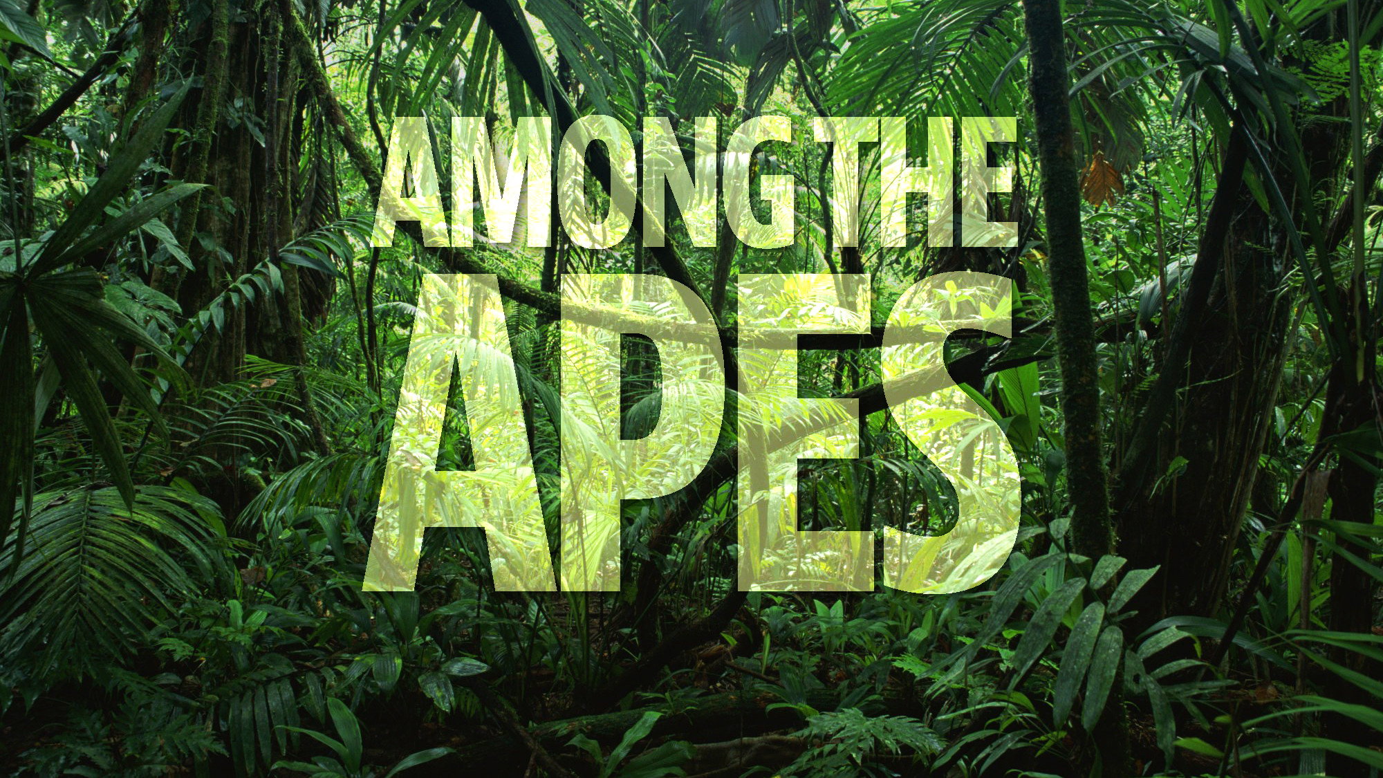 Among the Apes's poster