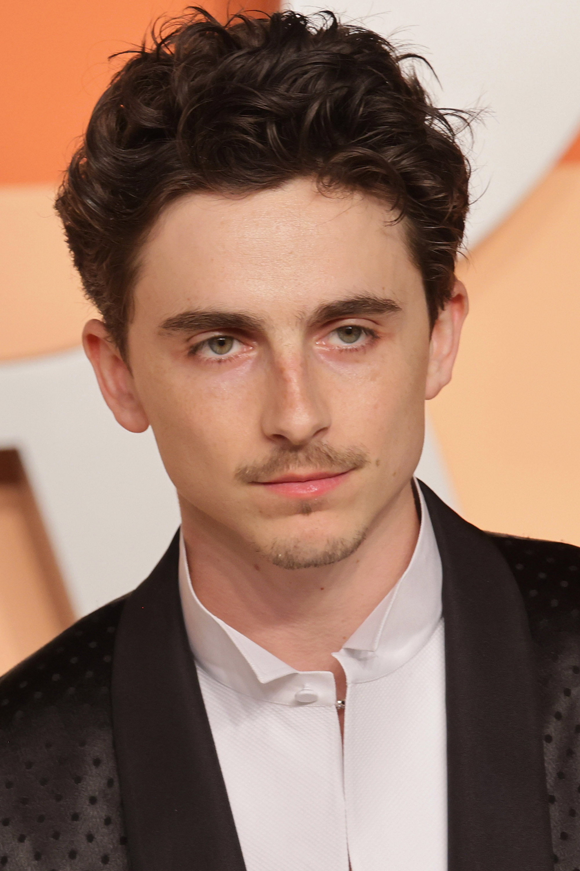 Timothée Chalamet's poster