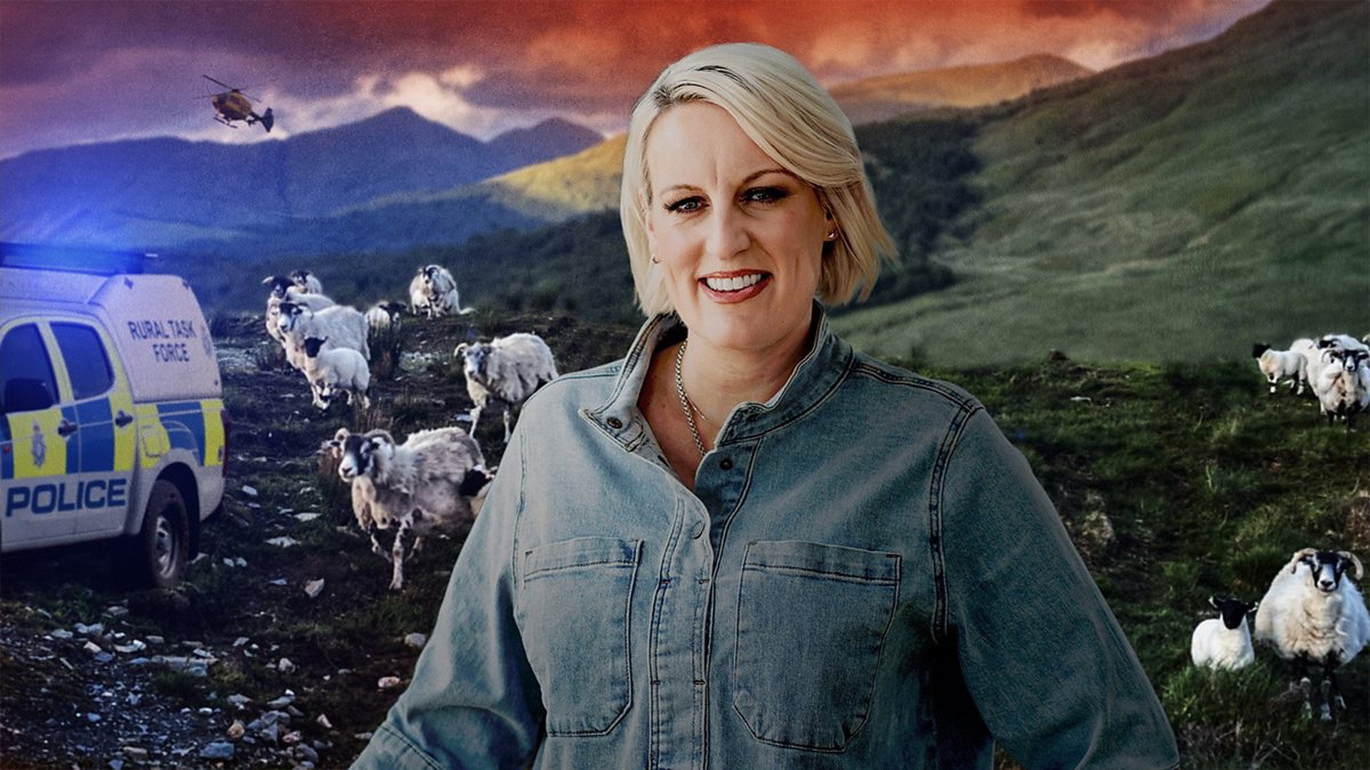 Farm 999's poster