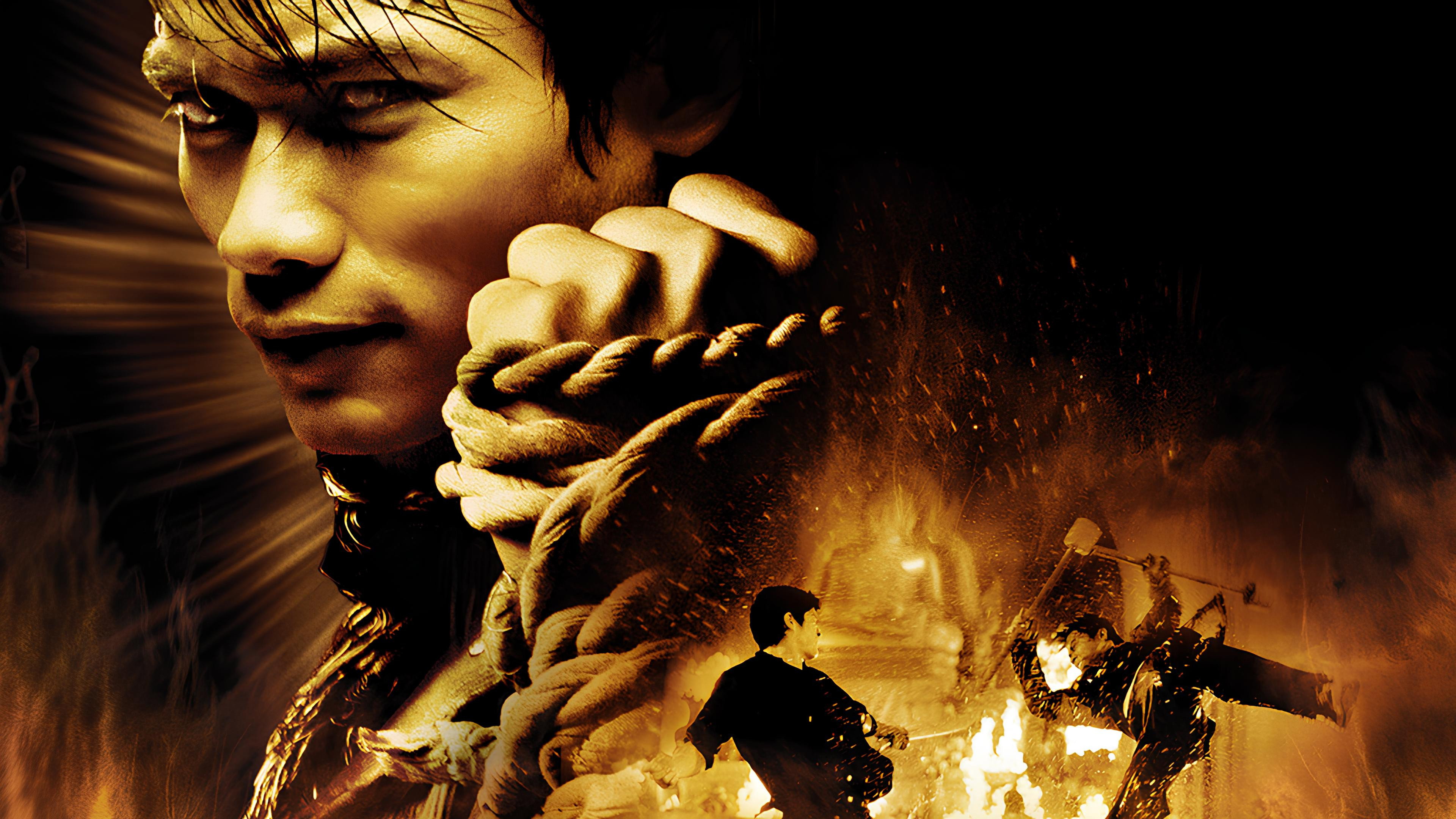 The Protector's poster