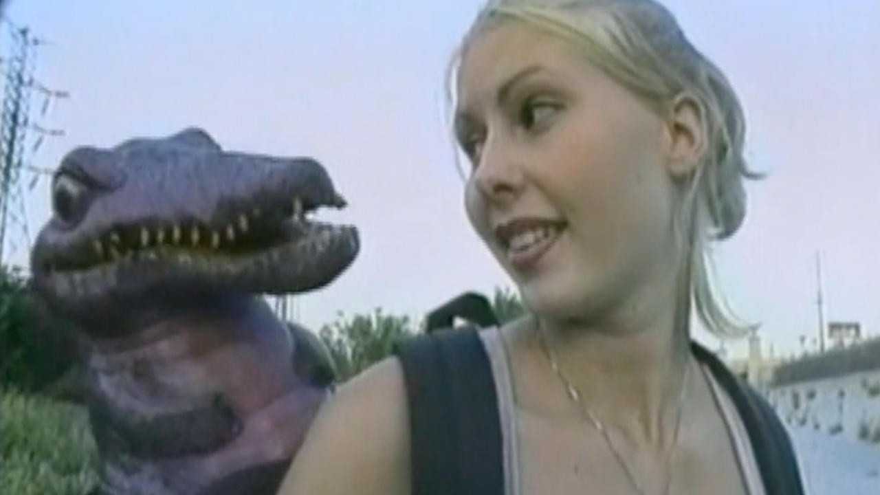 Rollergator's poster