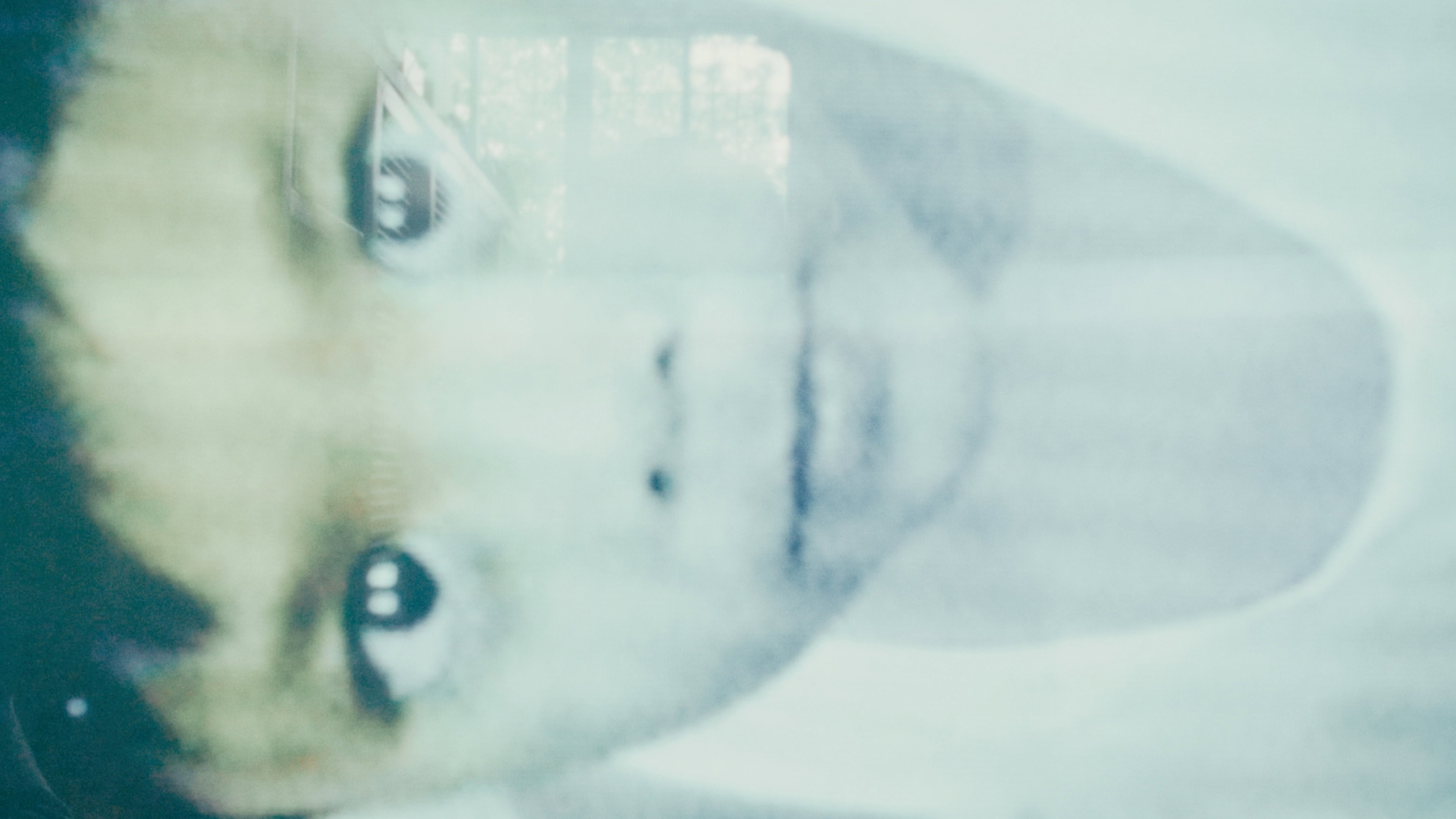 2010's poster