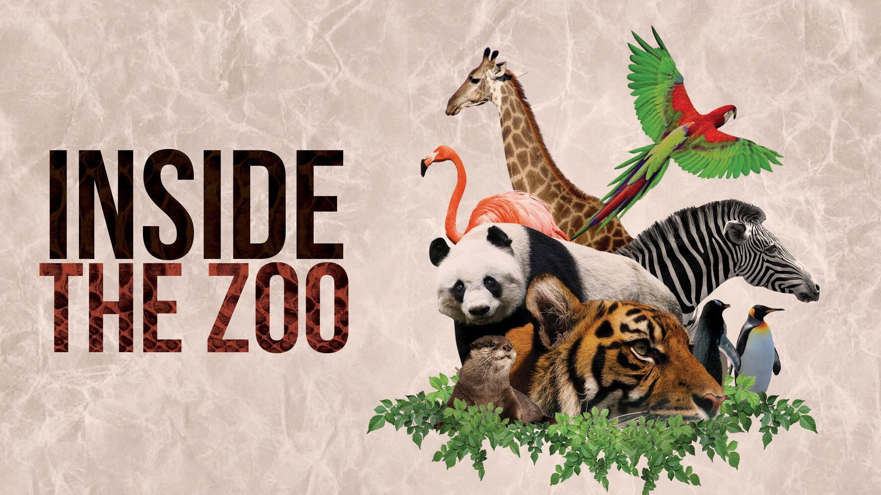 Inside The Zoo's poster