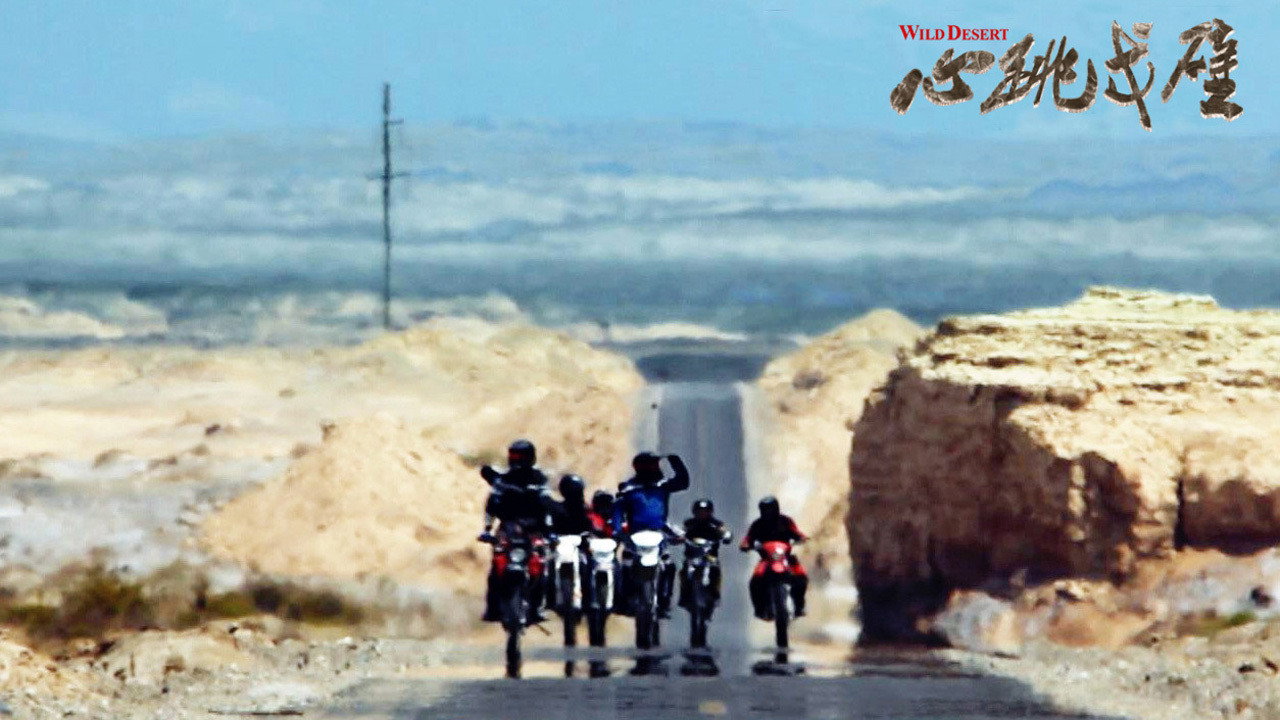 Wild Desert's poster