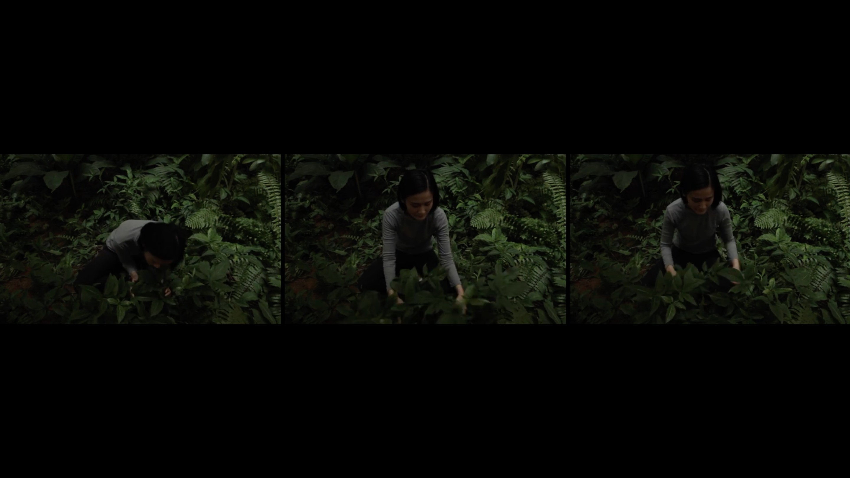 Anitya (Impermanence)'s poster