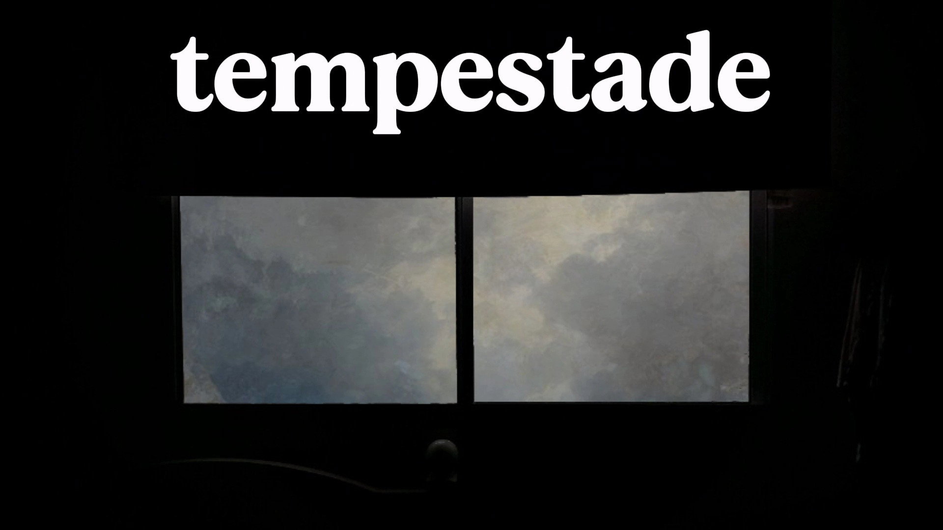 Storm's poster