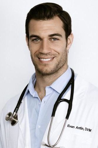 Evan Antin's poster