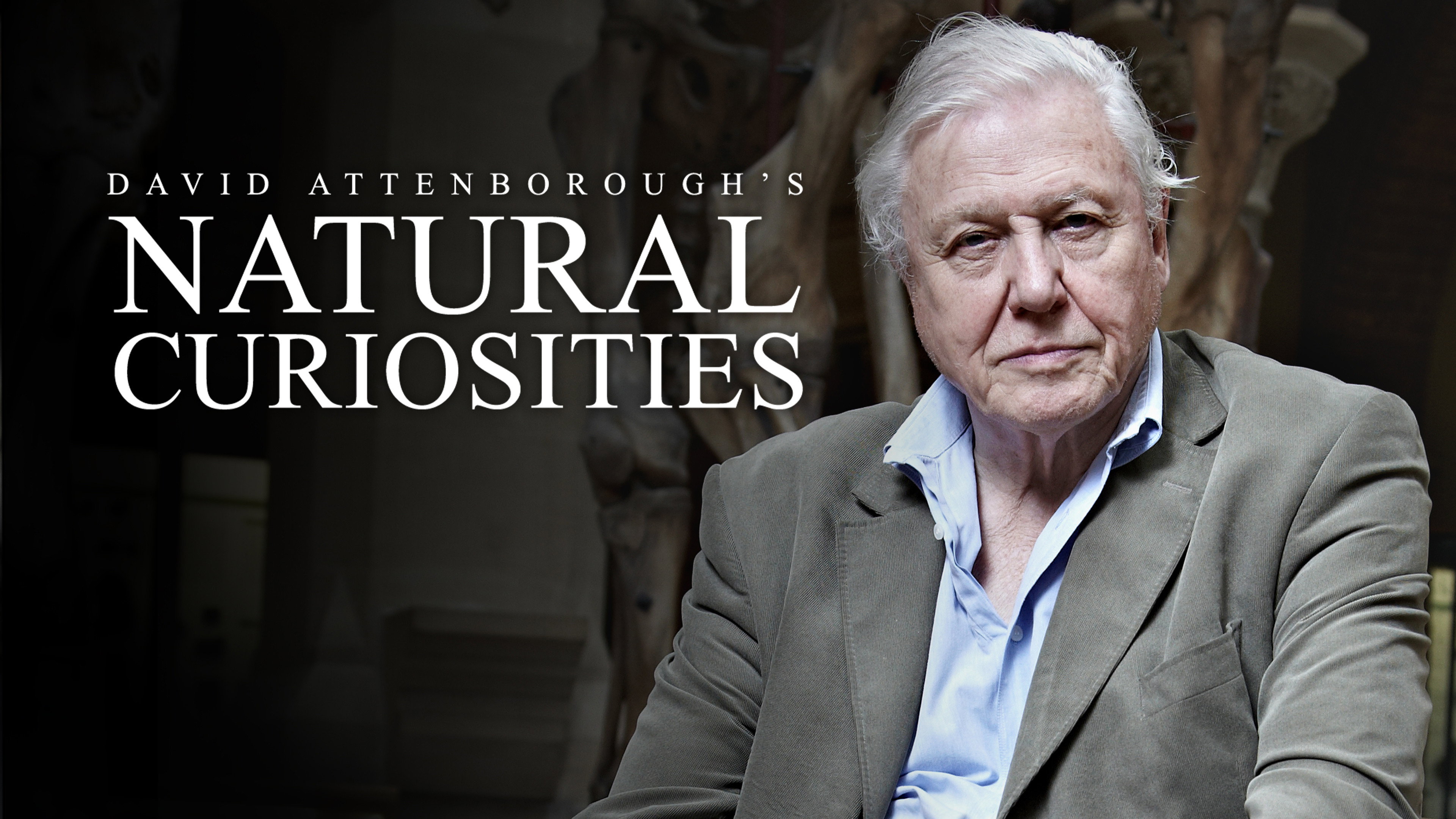 David Attenborough's Natural Curiosities's poster
