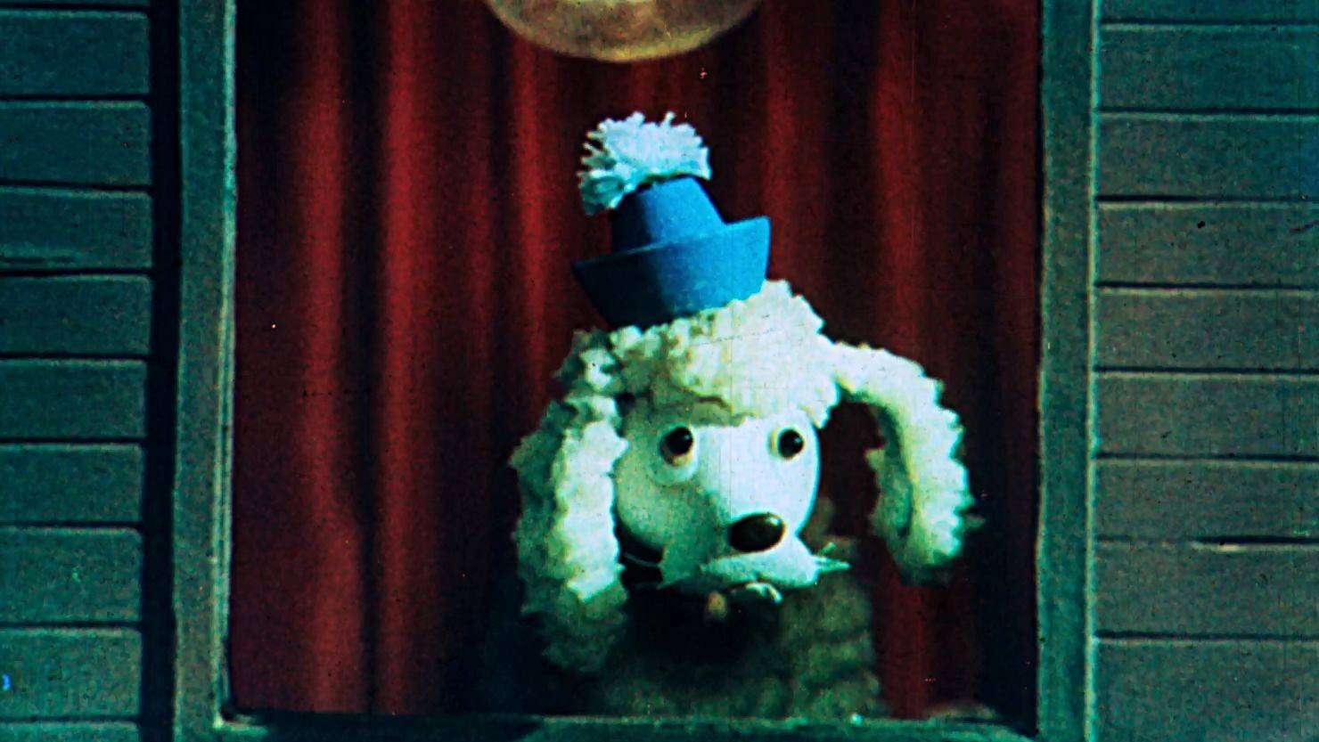 Stolen Poodle's poster