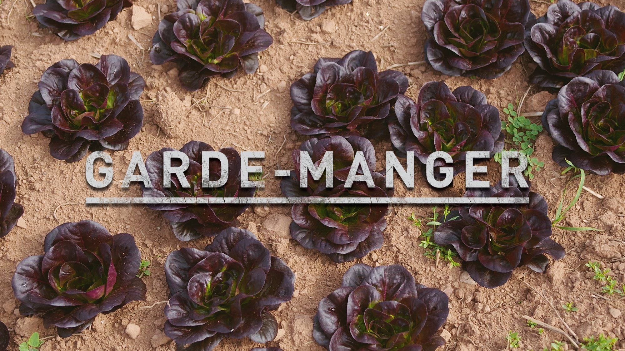 Garde-manger's poster