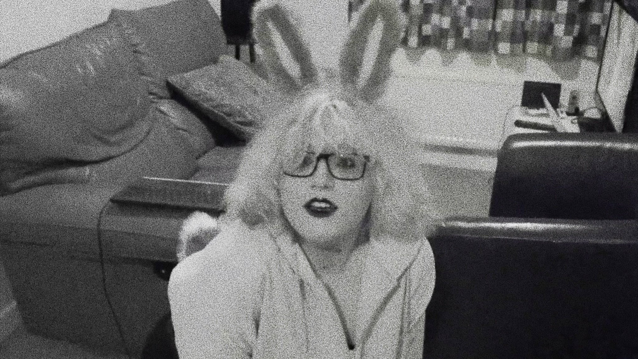 Pet Bunny's poster