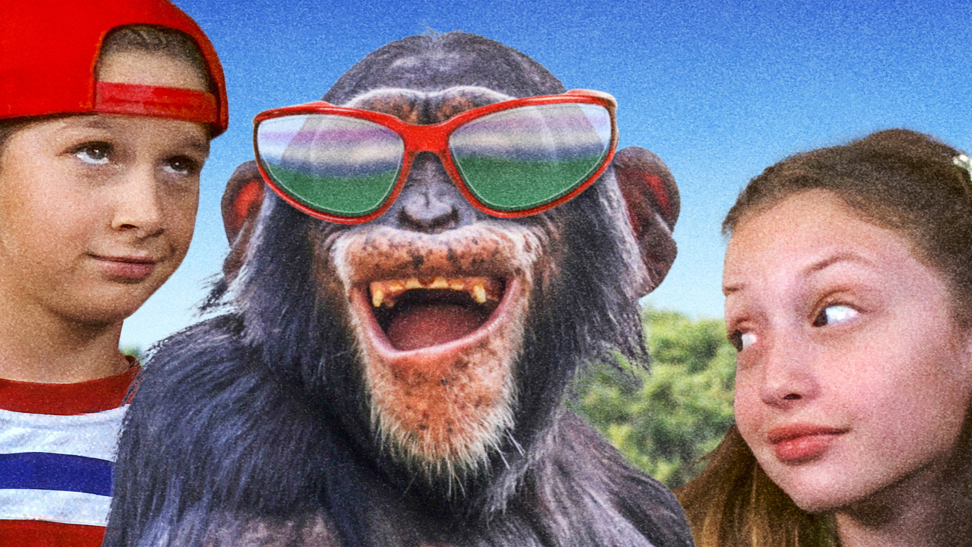 Monkey Business's poster