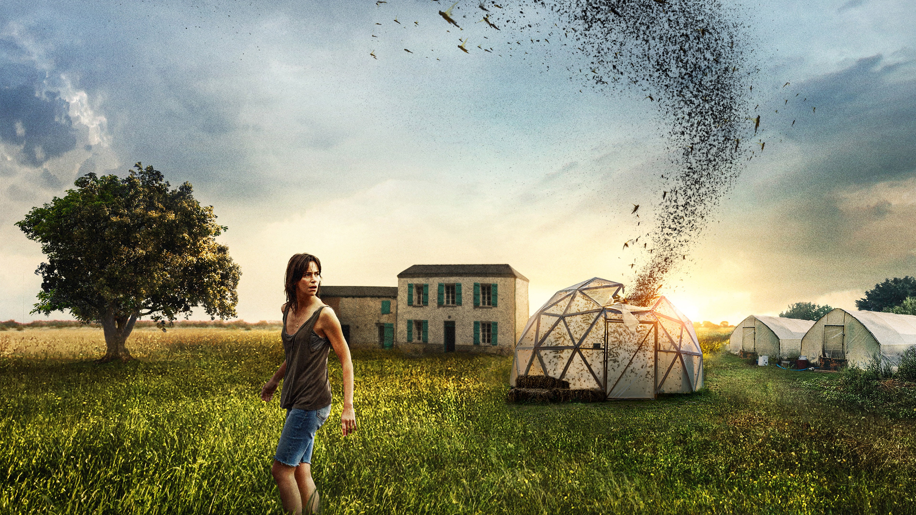 The Swarm's poster