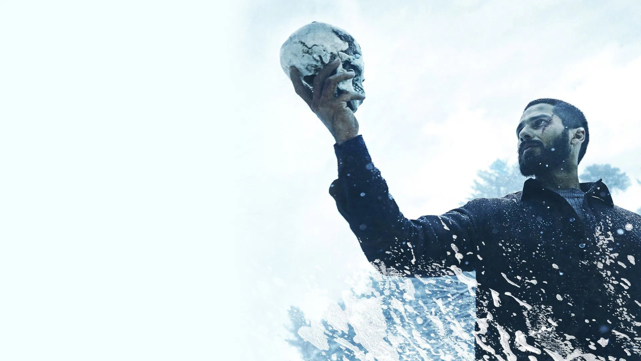 Haider's poster