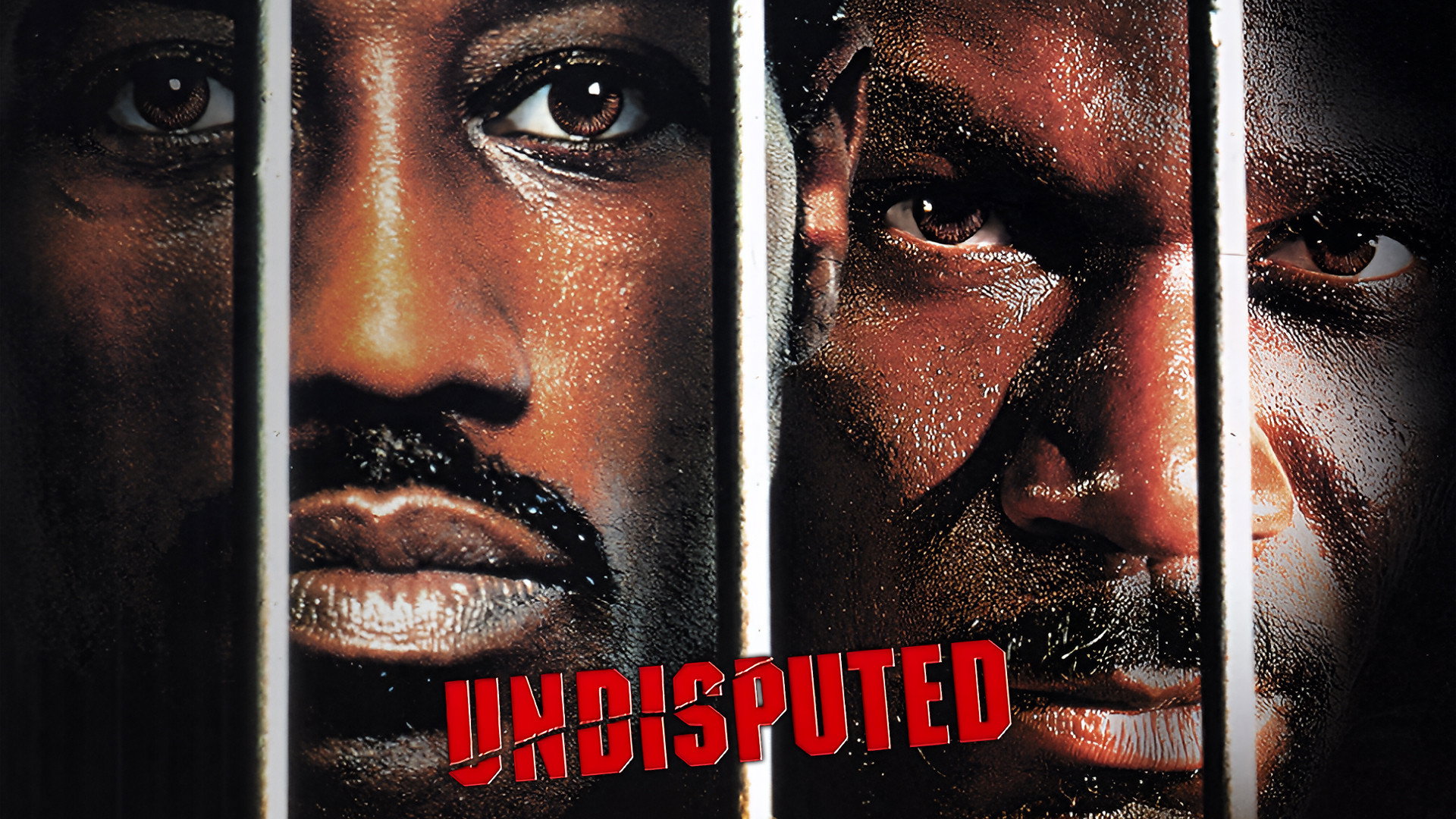 Undisputed's poster