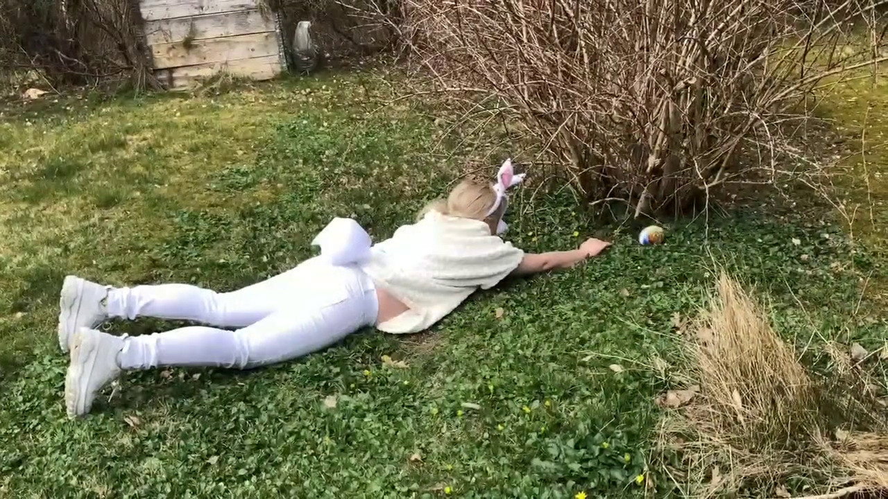 The Easter Bunny's poster