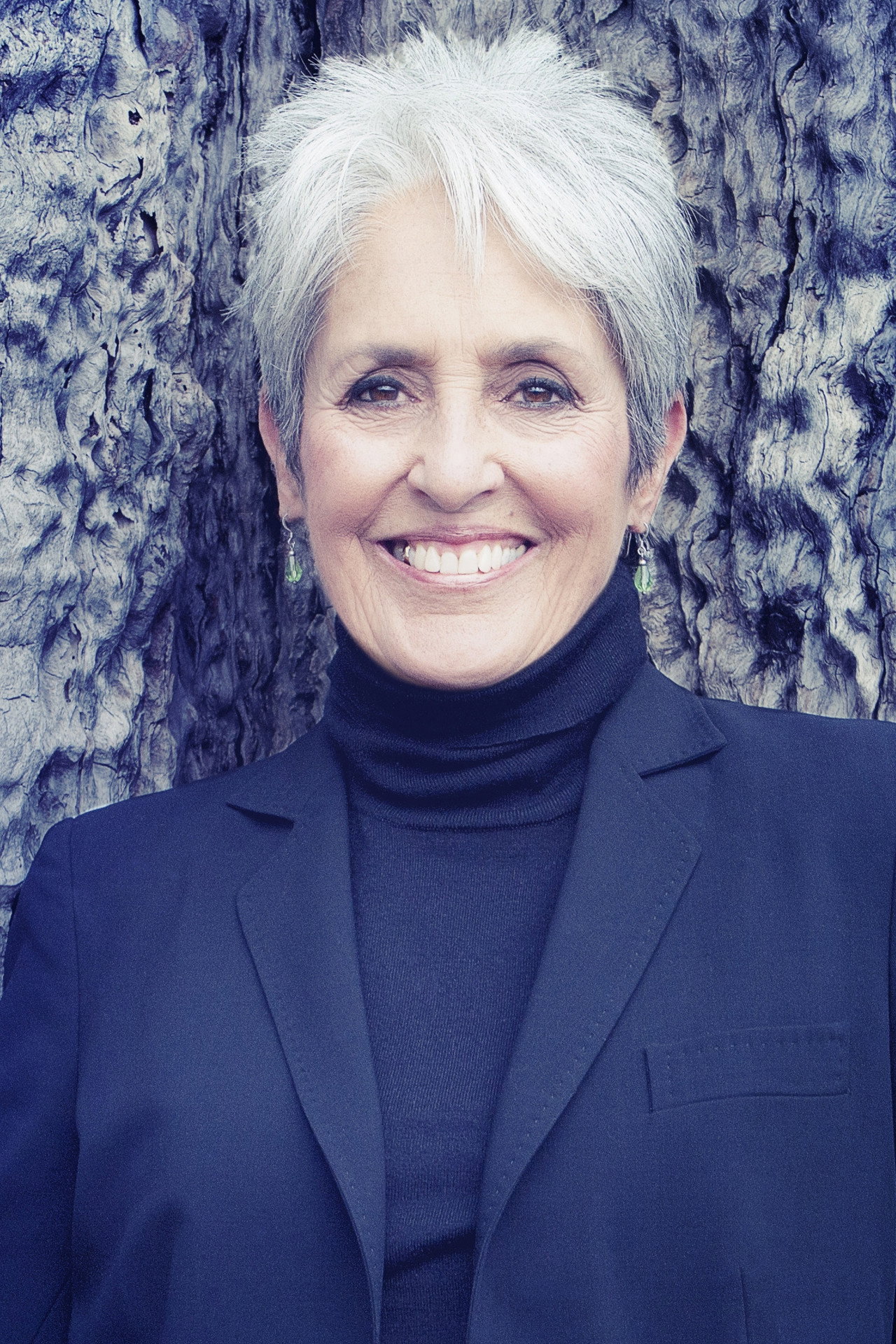 Joan Baez's poster