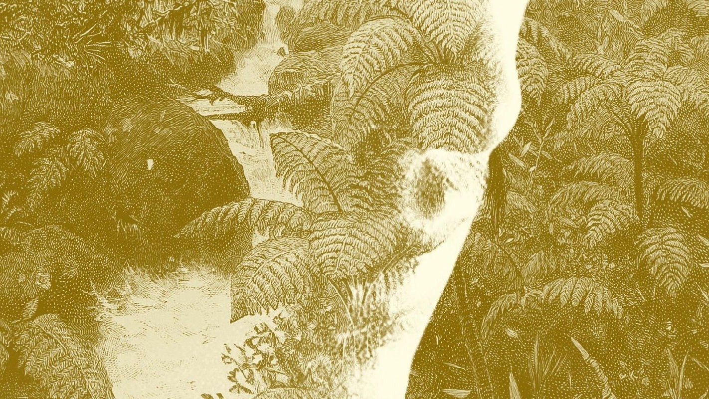 Tiger Bay's poster