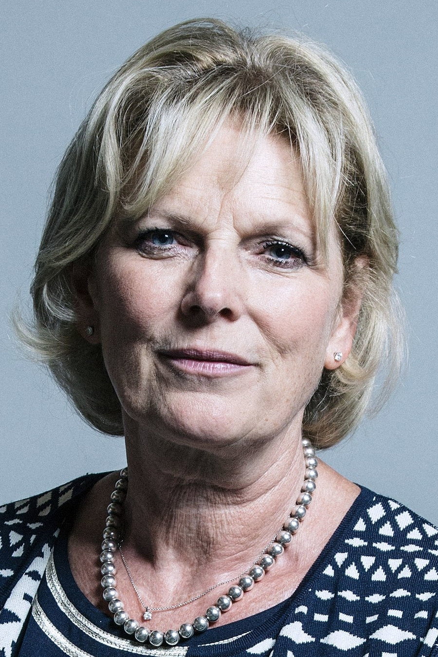 Anna Soubry's poster