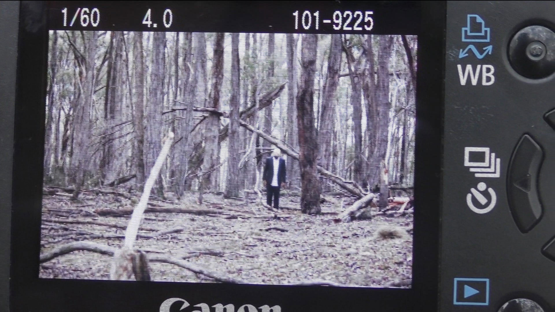 Exposure's poster