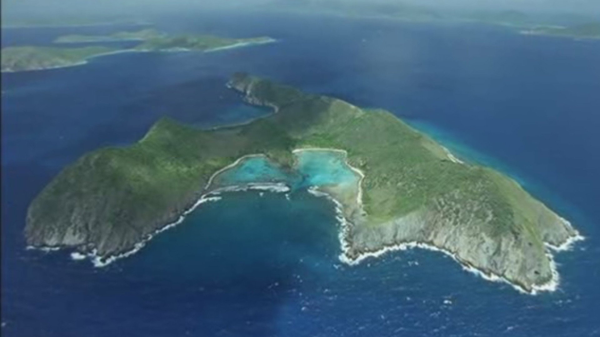 Wild Caribbean's poster