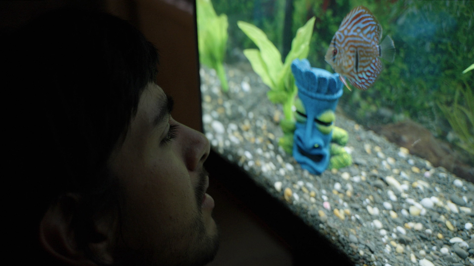 Notes from a Fish's poster