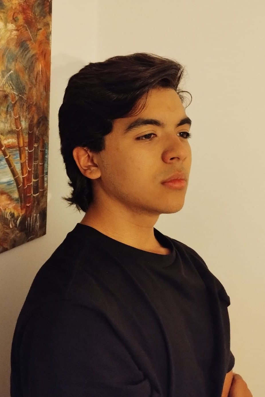 Baltazar Toro's poster