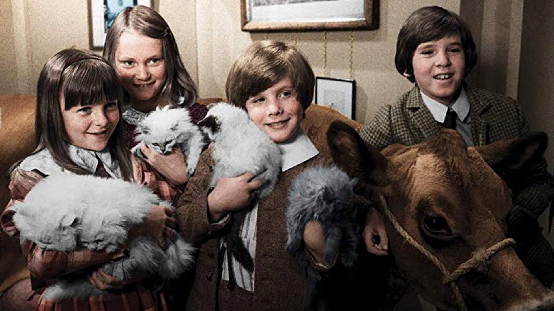 The Phoenix and the Carpet's poster