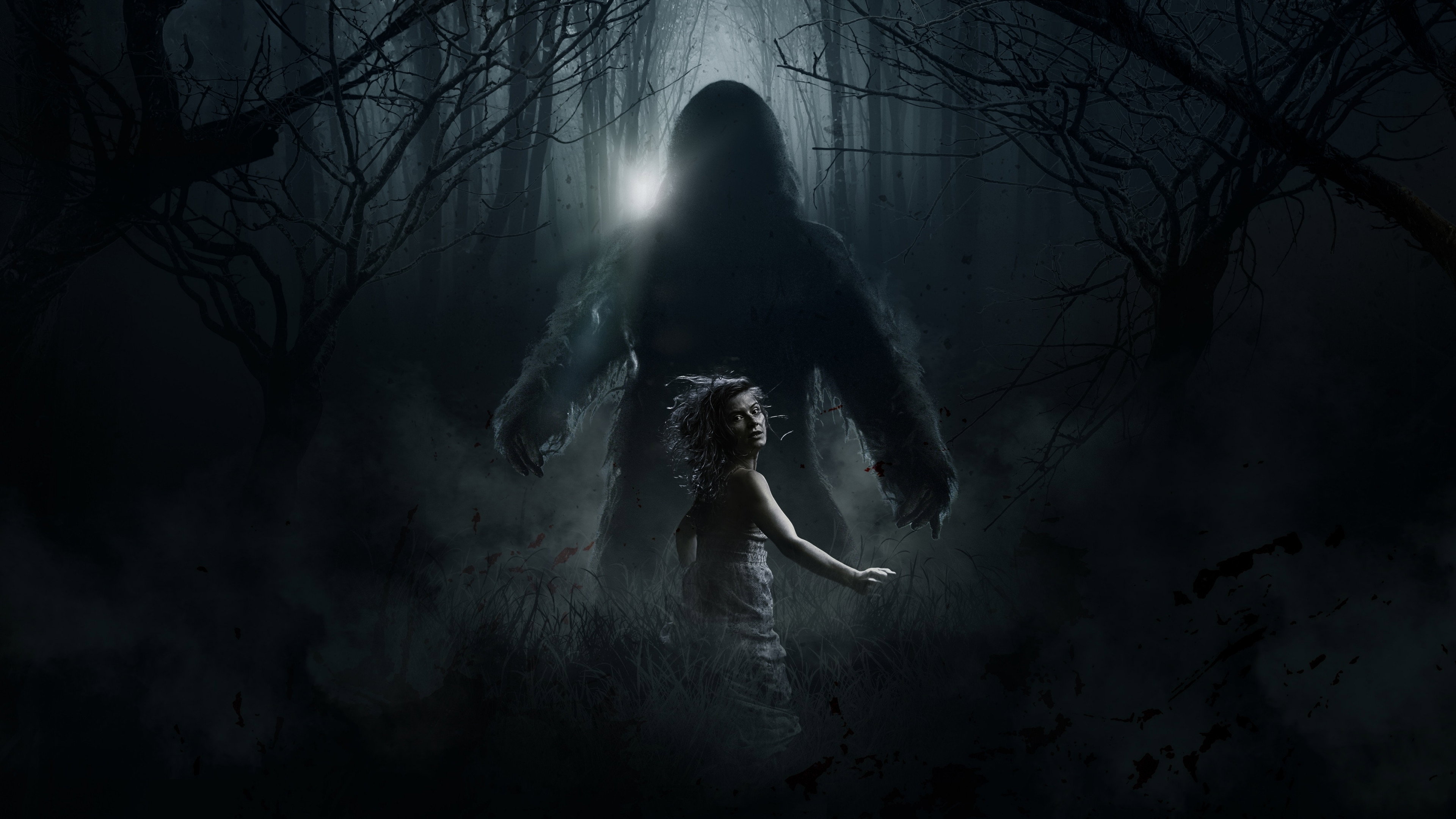 Hoax's poster