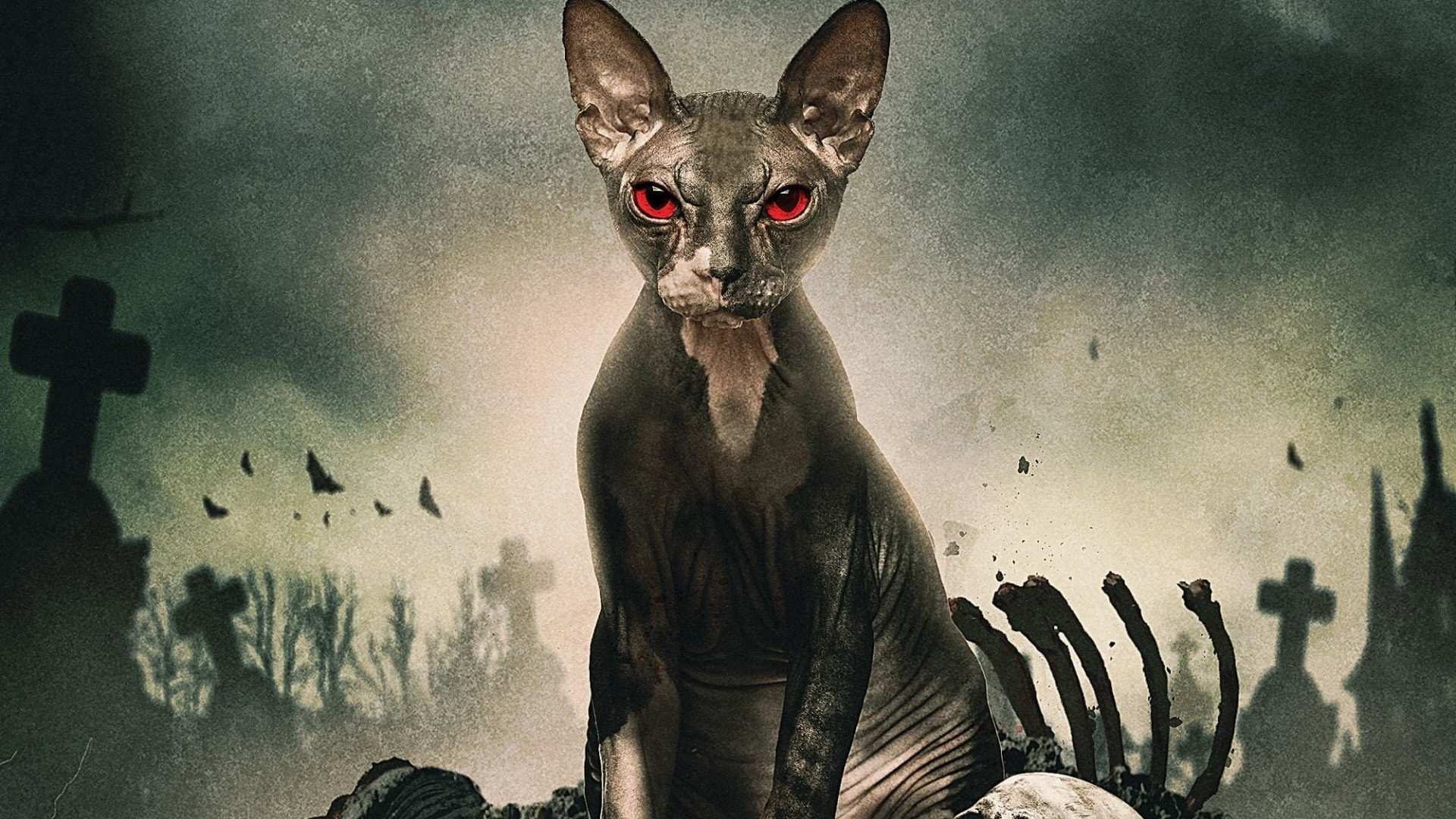Pet Graveyard's poster