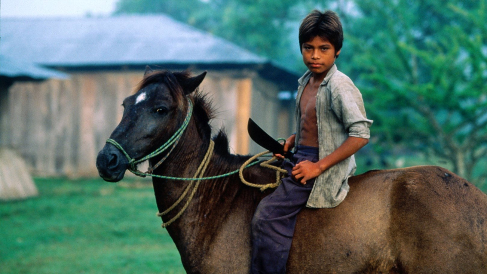 A Place Called Chiapas's poster