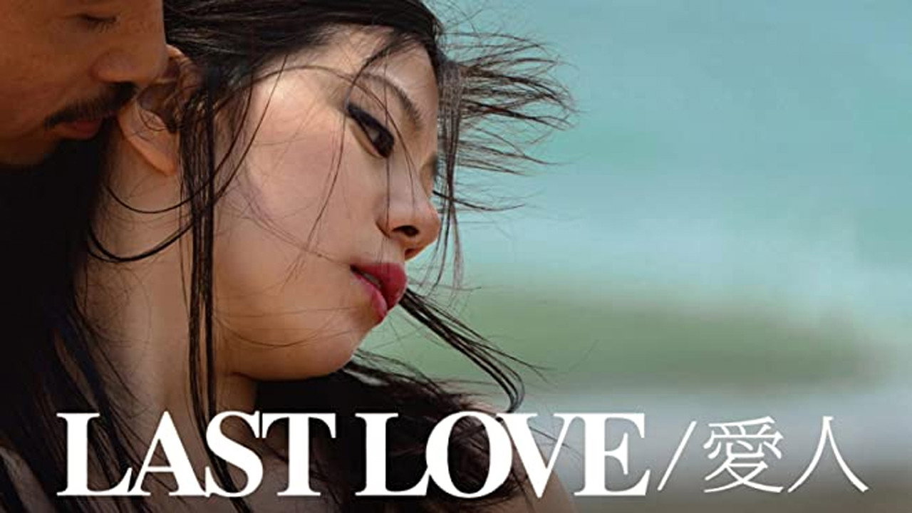 Last Love's poster