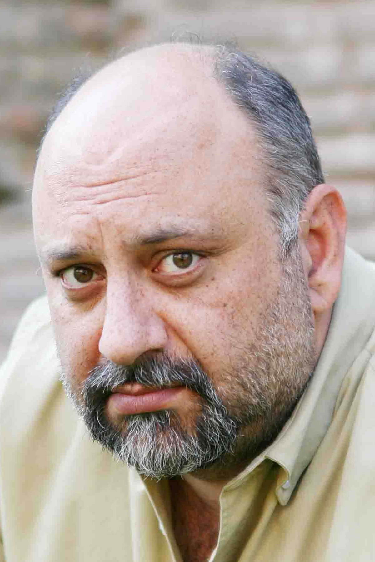 Babak Karimi's poster