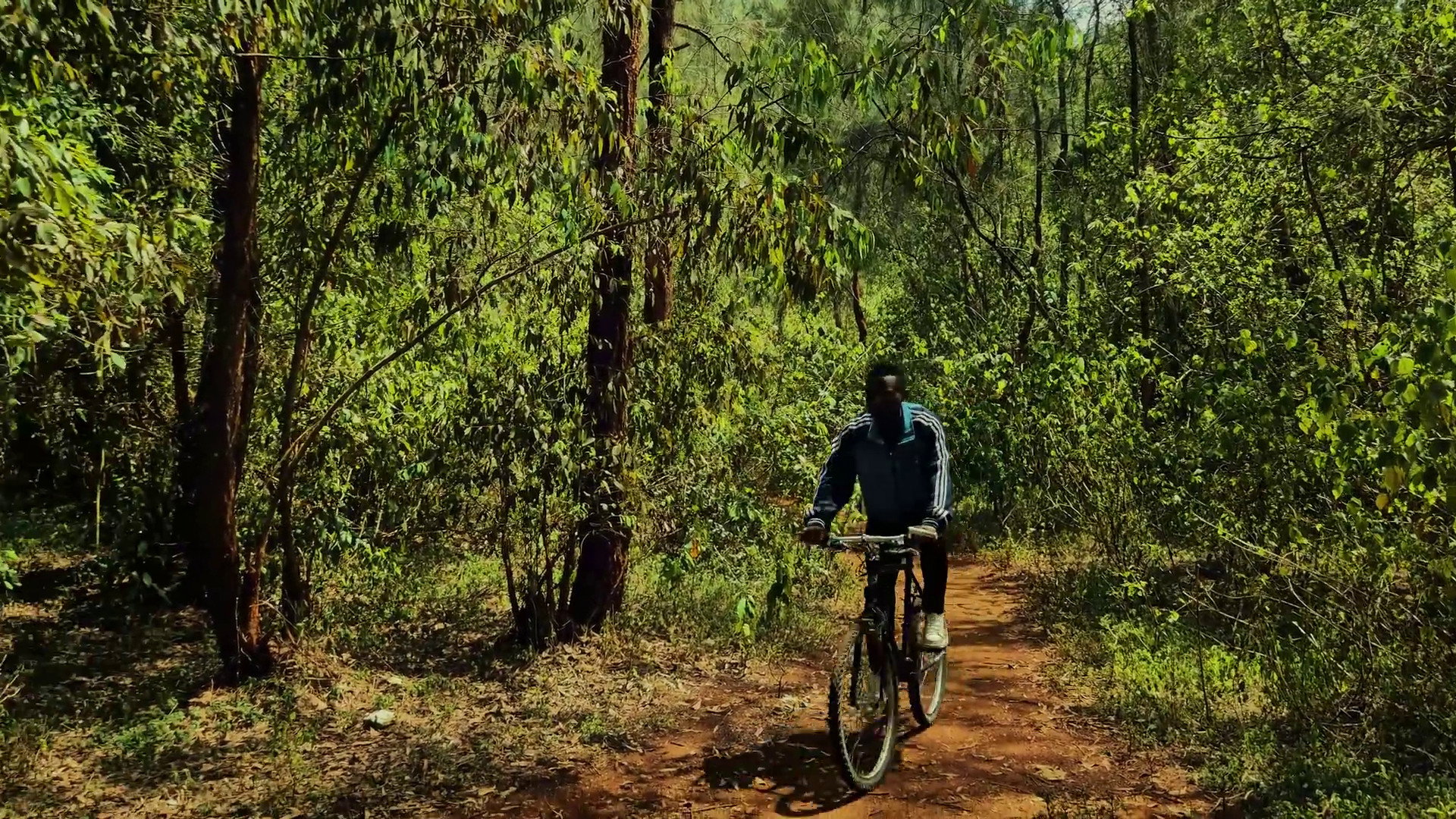 The Path's poster