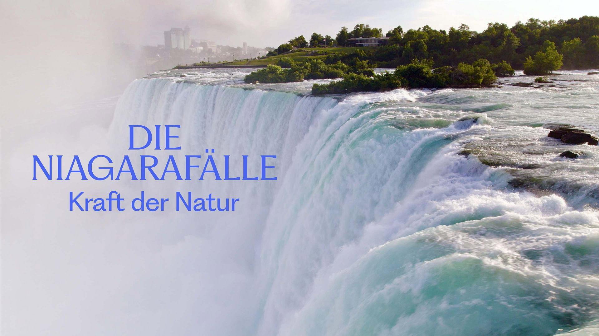 Niagara Falls's poster