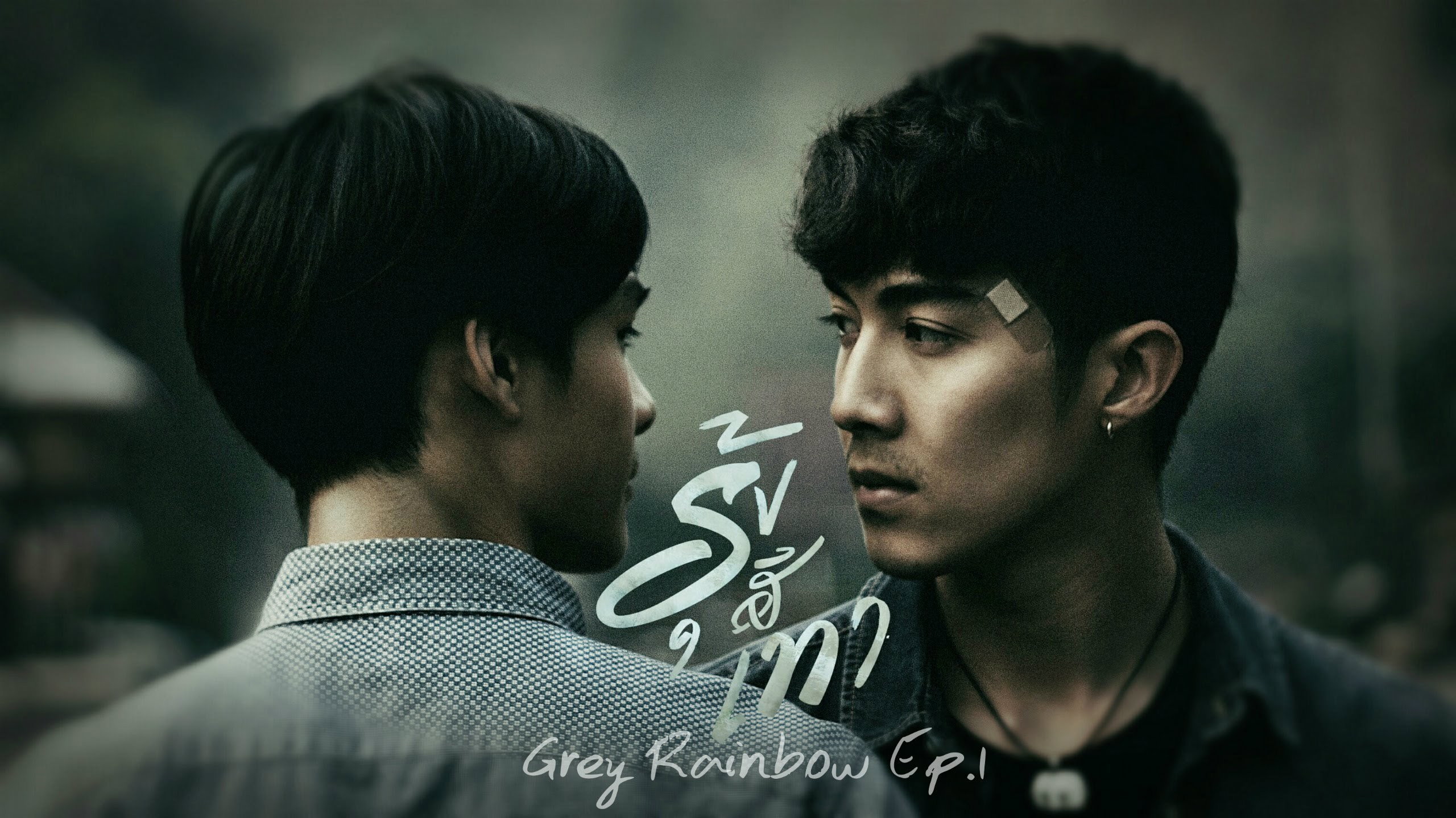 Grey Rainbow's poster