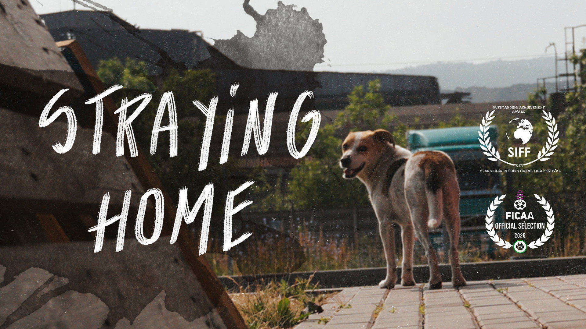 Straying home's poster