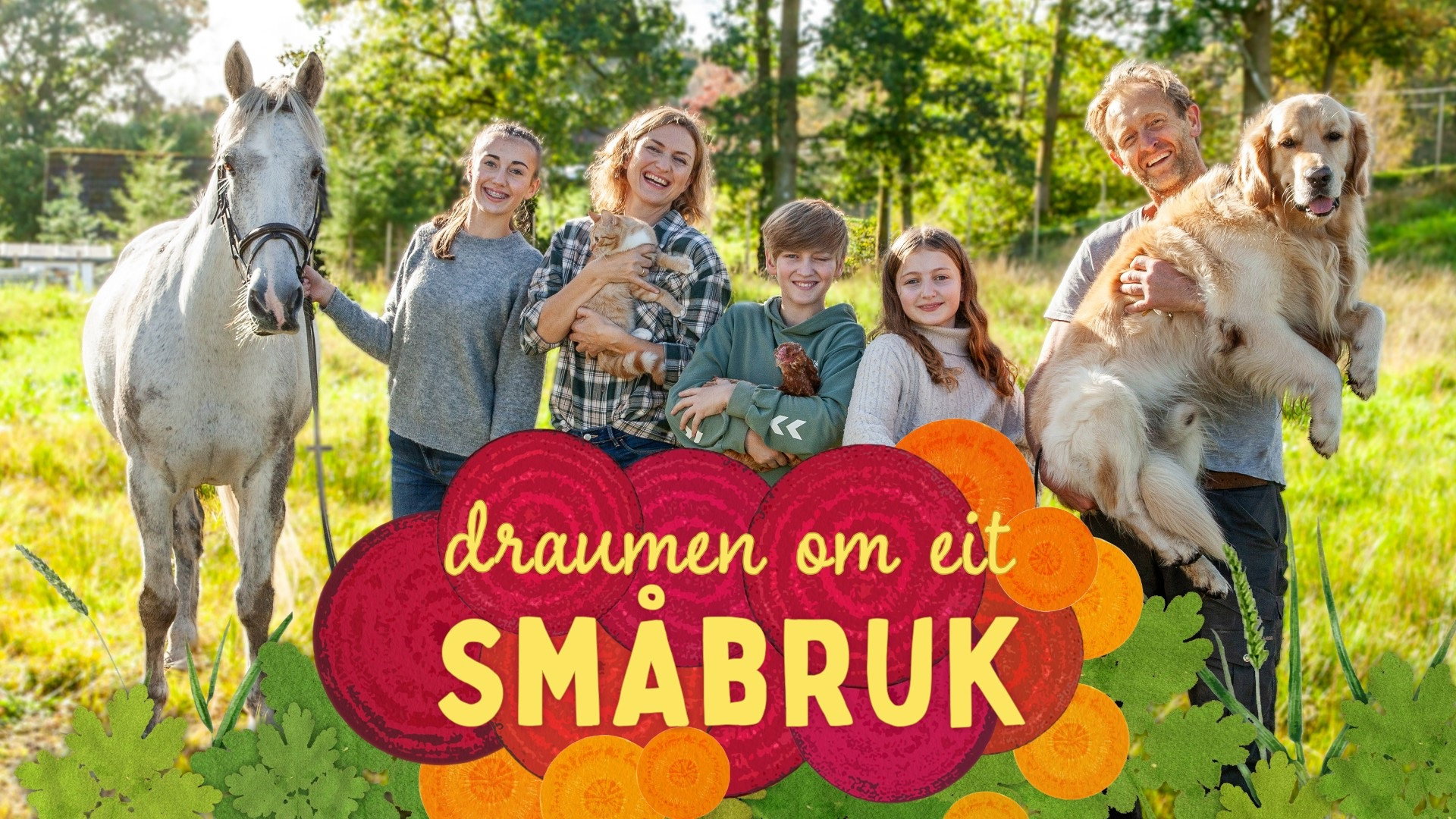 Draumen om eit småbruk's poster
