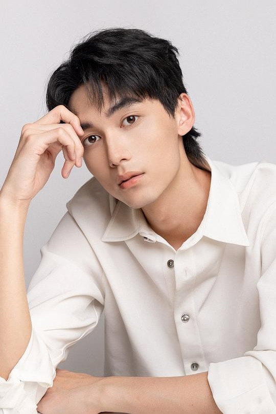 Zhang Cheng's poster