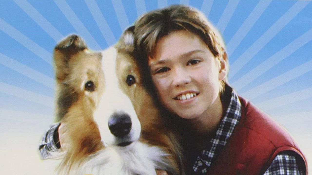 Lassie's poster