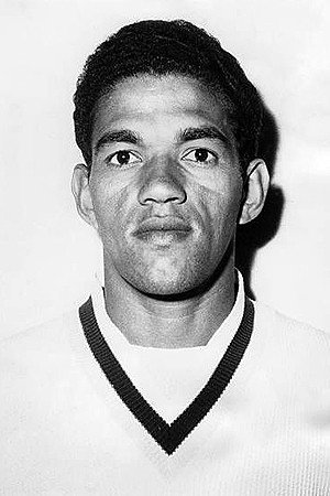 Garrincha's poster