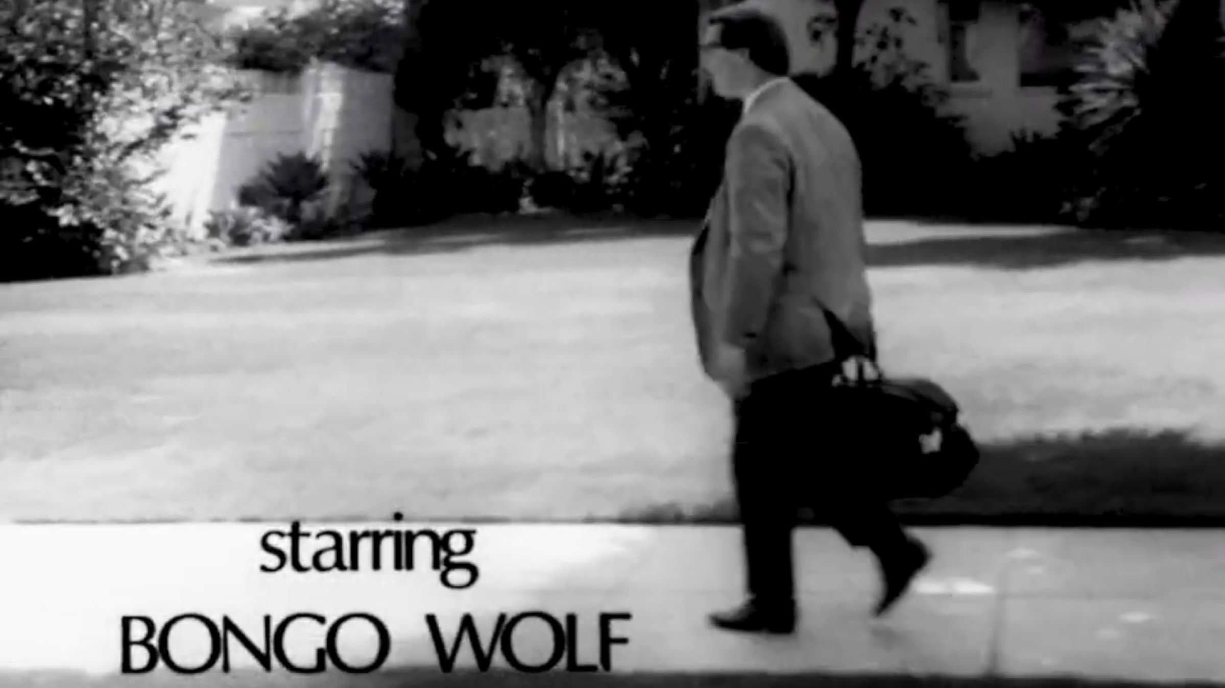 Bongo Wolf’s Revenge's poster