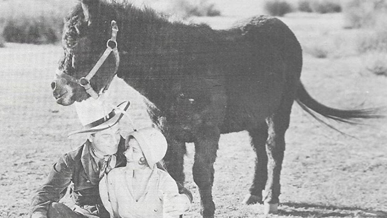 In Old Cheyenne's poster