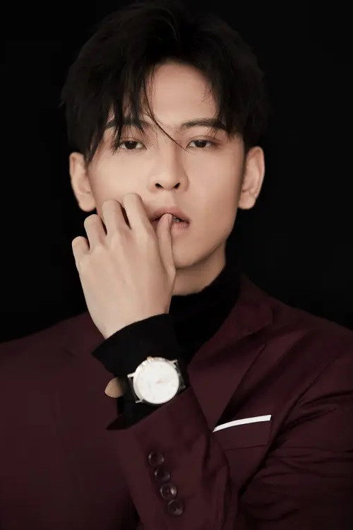 Chen Junxi's poster