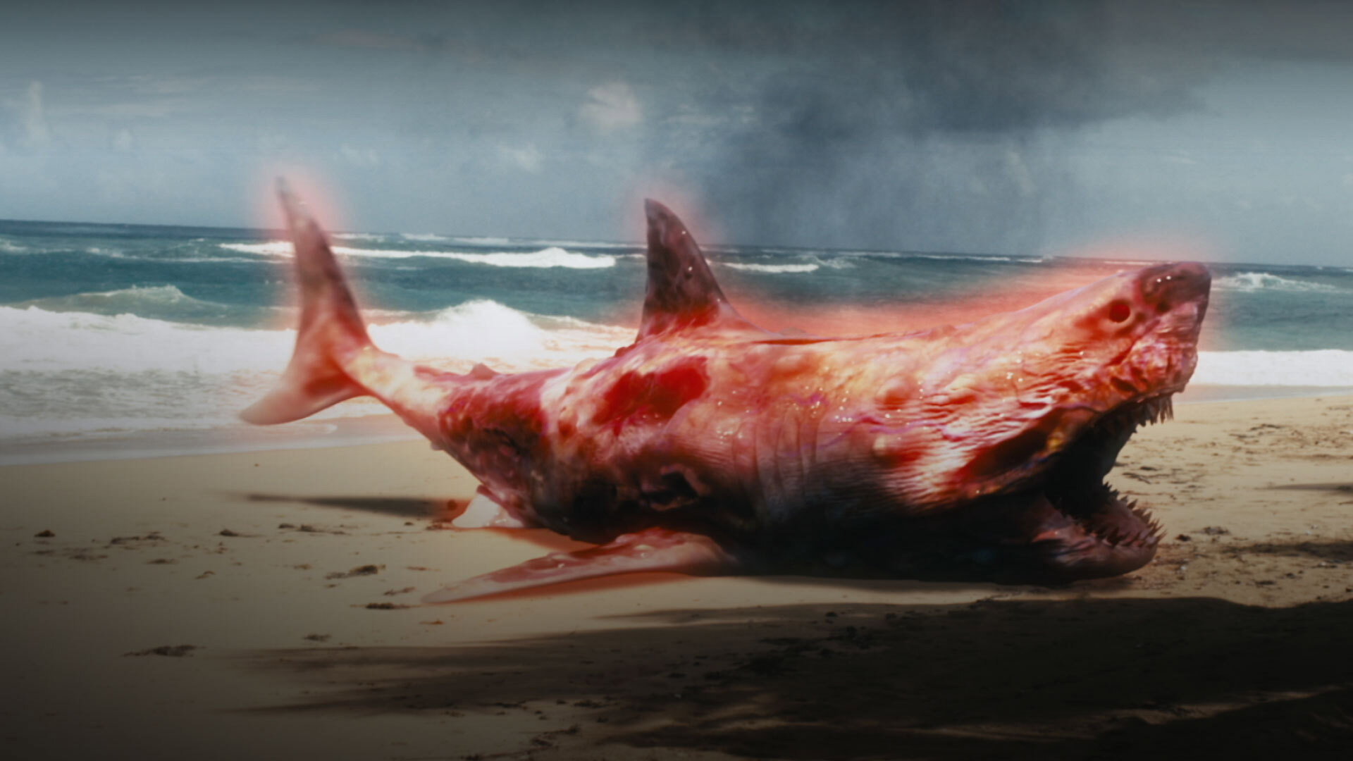 Atomic Shark's poster