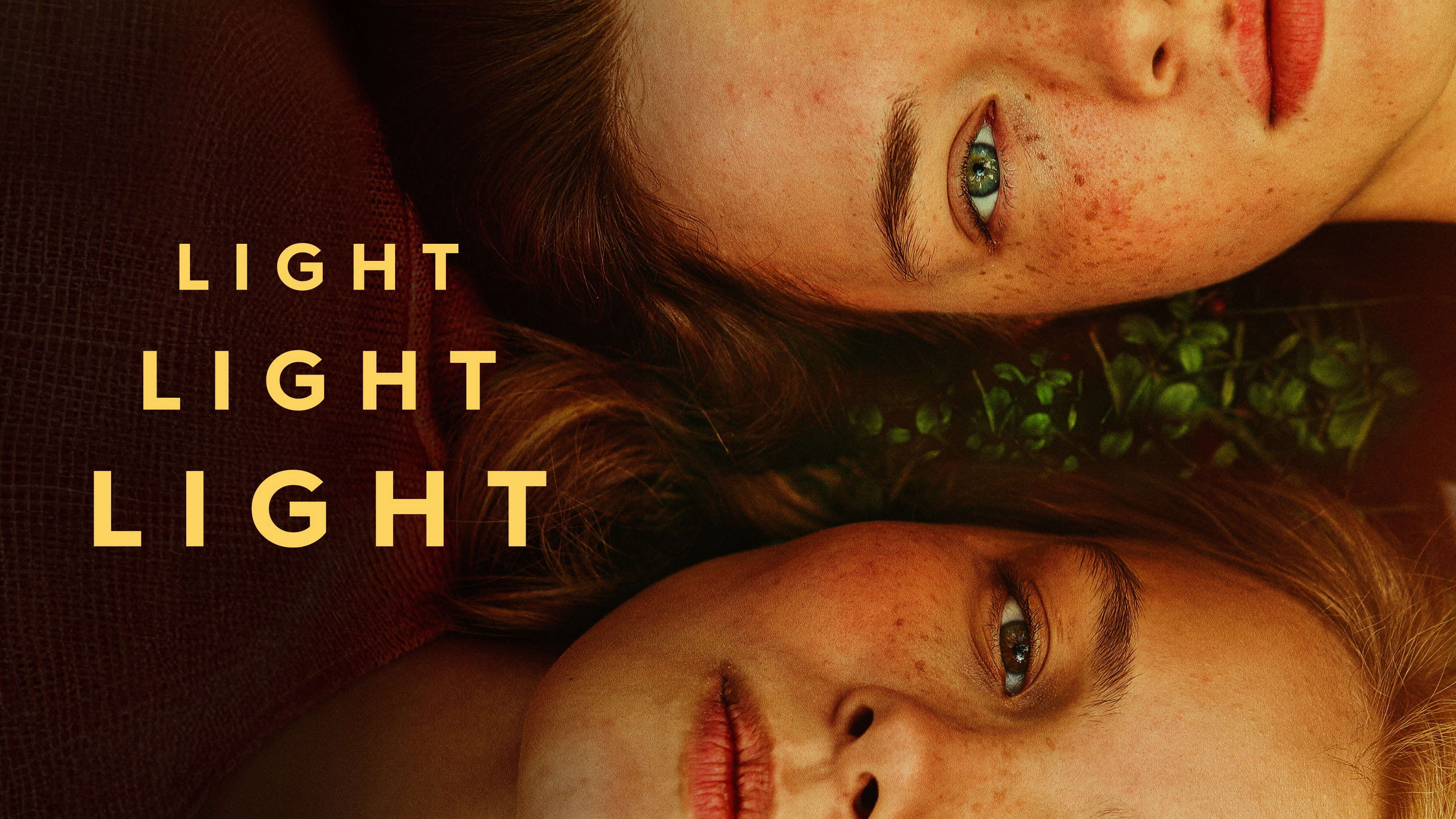 Light Light Light's poster